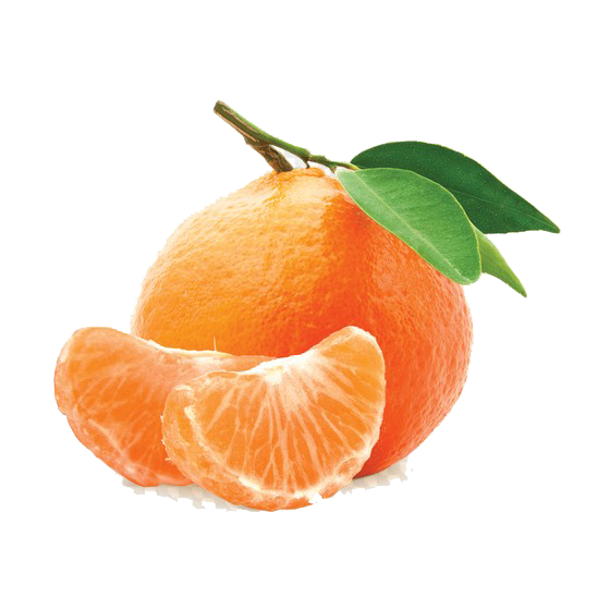 Tangerine W. Murcott from Chile supplied by JORGE SCHMIDT Y CIA.LTDA. - Fresh (=Chilled) Other Fresh Citrus Fruits