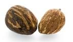 Shea Nut from Benin supplied by Ste. Angel Impex SARL - Raw Shea Nut