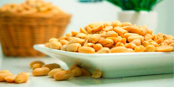 Roasted Peanuts from 브라질 supplied by Juliana Peanuts Ltda. - White 땅콩 알맹이