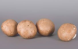 Fresh Shiitake Mushroom from Poland supplied by RTB Sp.j. B.R.Waligóra - Whole Shiitake Mushroom