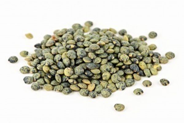 Lentils from 프랑스 supplied by FERME D'ALTEVILLE - Green Lentil 말린 렌틸