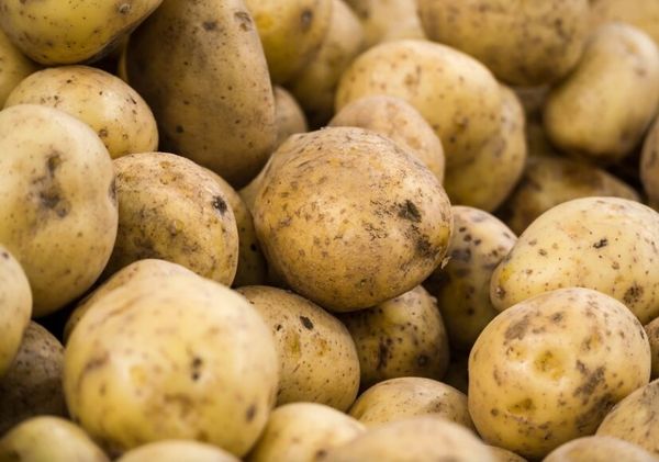Potato from 말레이시아 supplied by ITOCHU Malaysia Sdn. Bhd. - Whole 신선 일반 감자