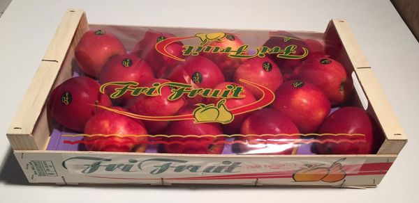Apple from Spain supplied by Fri-fruit SL - Carton Box - Open Top Fresh Apple