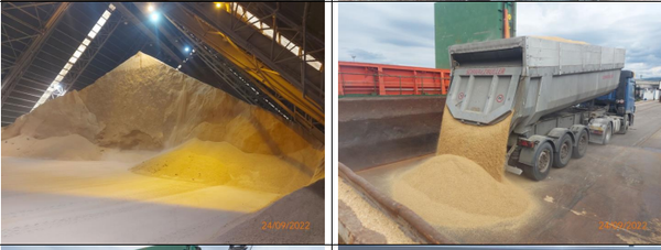 Soybean Meal from Brazil supplied by Aiba Kompani - Whole Soybean Meal