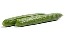 Cucumber from Netherlands supplied by Versland Selection Bv - Raw Fresh Cucumber