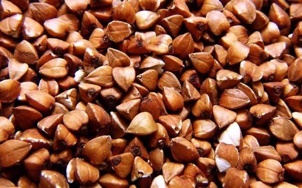 Buckwheat from 미국 supplied by Camp Point Seed Co. - Whole 메밀