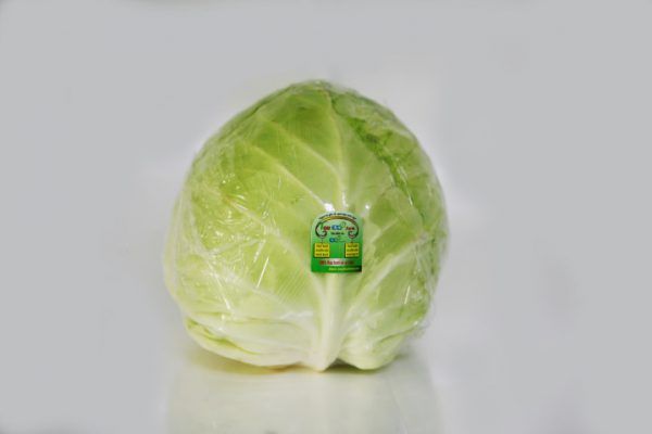 Cabbage from 베트남 supplied by Vietnam EXP Investment Joint Stock Company - Green 신선 양배추