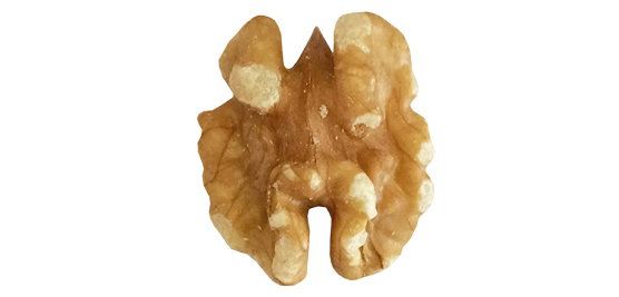 Walnut, shelled from 칠레 supplied by La invernada - Shelled (=Kernel) 생호두