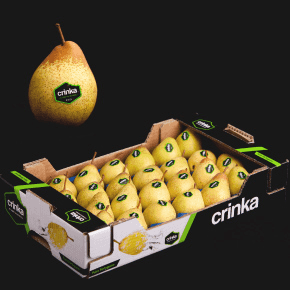 Pear from Portugal supplied by Primofruta - Sociedade Hortofrutícola, Lda - Yellow Fresh Pear