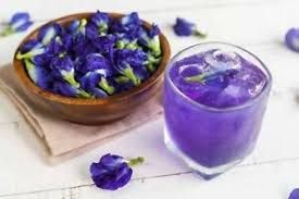 Blue Pea Flower Herbal Tea from 말레이시아 supplied by London Probiotics Sdn Bhd - Blue Pea Flower (=Butterfly Pea Flower) 허브차