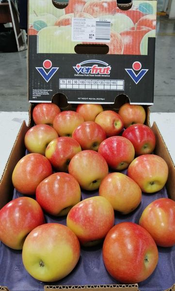Nicoter Apples from 칠레 supplied by Verfrut - Size: d. 80-85 신선 사과