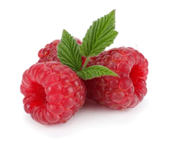 Raspberry from 태국 supplied by Gourmet One Food Service (Thailand) Co.,ltd. - Whole 신선 라즈베리