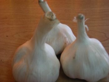 Fresh White Garlic from 대만 supplied by JYAYI TRADING CO., LTD. - Carton Box (=Cardboard Box) 신선 마늘