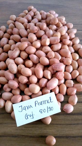 Peanut from 인도 supplied by Neelkanth International - TJ 땅콩 알맹이