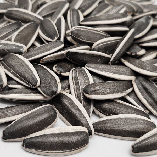 sunflower seed of type 361/363/601 from China supplied by Inner Mongolia Zhenghai Agricultural Trade Co., Ltd. - Unhulled Sunflower Seed