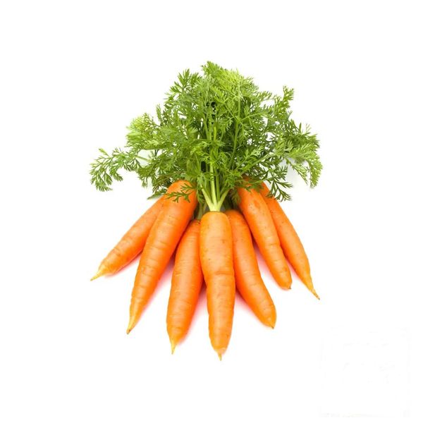 Carrots from 베트남 supplied by Home Country Agricultural Products Co., Ltd. - Orange 신선 당근