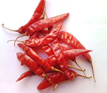 Dried Red Chili from 인도 supplied by Spice Villa Export - Devanur Deluxe 말린 통고추