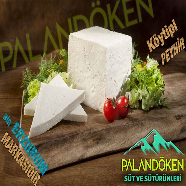 Feta Cheese from 튀르키예 supplied by Palandoken Dairy Products - Bar 페타 치즈