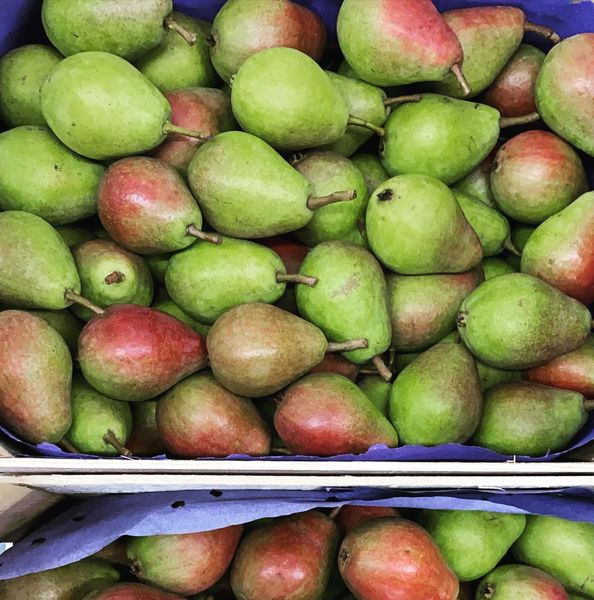 Fresh Organic Pear from Germany supplied by Fruit's Best - Green Fresh Pear