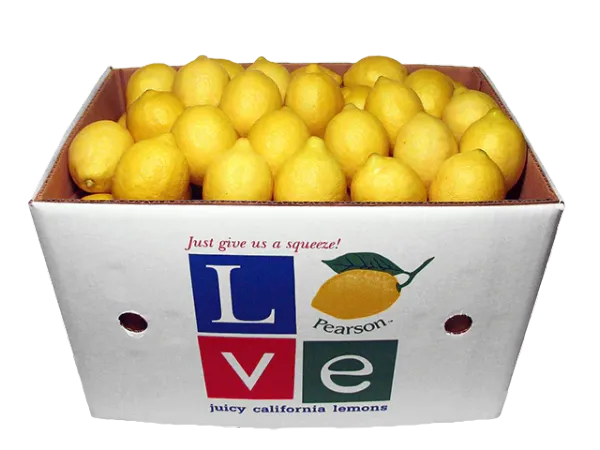 Fresh Lemon from 미국 supplied by Pearson Ranch LLC - Yellow 신선 레몬