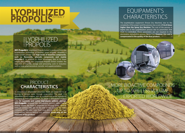 Lyophilized Green Propolis Extract from 브라질 supplied by MN PROPOLIS INDUSTRIA COMERCIO E EX - Natural 밀랍(蜜蠟)