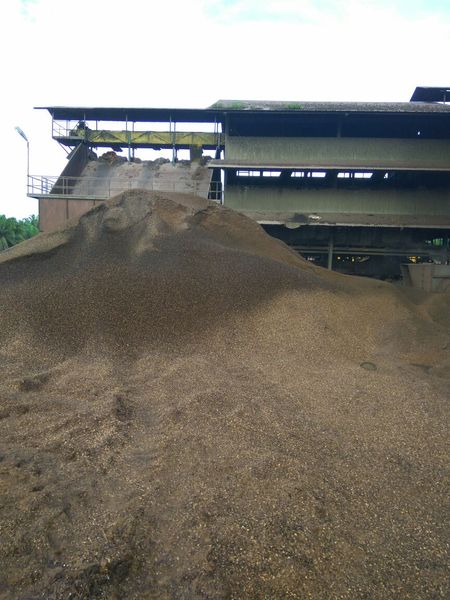 Palm Kernel Shell from Indonesia supplied by PT. MEJEZ CENTENIAL CEMERLANG - High Quality Palm Kernel Expeller