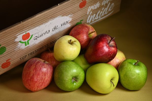 Fresh Whole Apple from Portugal supplied by SOCIEDADE AGRICOLA QUINTA DO VILAR LDA - Brave Fresh Apple