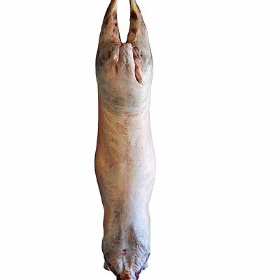 Lamb from 독일 supplied by MURAT-LAMM GMBH - Without Head (= Headless) 양고기