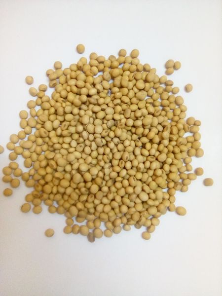 Soya beans from 우간다 supplied by Regency Exports Kenya - Small-Medium 대두