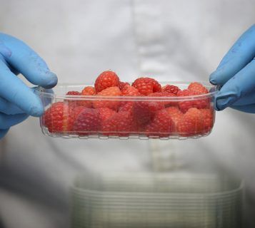 Raspberry from 스페인 supplied by Plus Berries - Punnet 신선 라즈베리