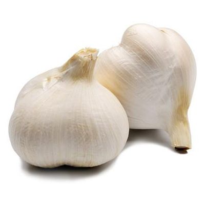 Organic Elephant Garlic from Spain supplied by ORGAVITA XXI, S.L. - Elephant Garlic Fresh Garlic