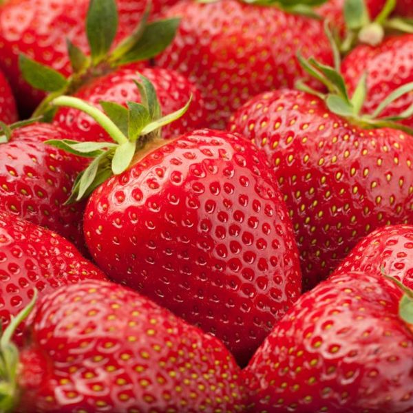 Fresh strawberries from Cameroon supplied by AGRO VALLEY LIMITED - Fresh (=Chilled) Fresh Strawberry