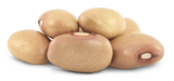 Pink Kidney Bean from 브라질 supplied by Coperaguas Cooperativa Agroindustrial - Pink 말린 일반 콩
