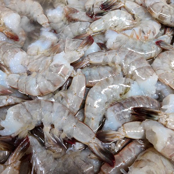 Frozen Shrimp from 벨기에 supplied by Blue Ocean Seafood - Fresh (=Chilled=Raw) 냉동 새우