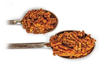 Date Paste from 미국 supplied by Woodspur Farms, LLC - Paste 신선 대추야자