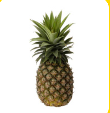 Fresh Pineapple from 코스타리카 supplied by Bribri Import and Export Company - Fresh (=Chilled) 신선 파인애플