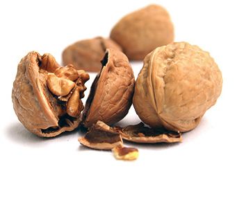Walnut from United States supplied by Sacramento Valley Walnut Growers - 40% Halves and Pieces Raw Walnut