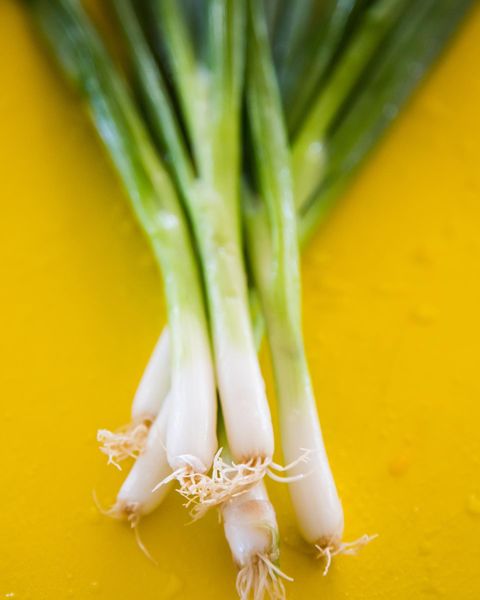 Leek from 미국 supplied by Watsonville Coast Produce Inc - Green 리크