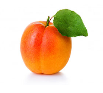 Fresh Apricot from Iran supplied by Iran Fruit Center - Fresh (=Chilled) Fresh Plum
