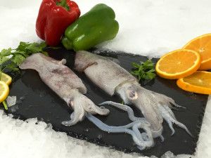 Squid from Spain supplied by Oceanic Sea Food SL - Whole Frozen Squid