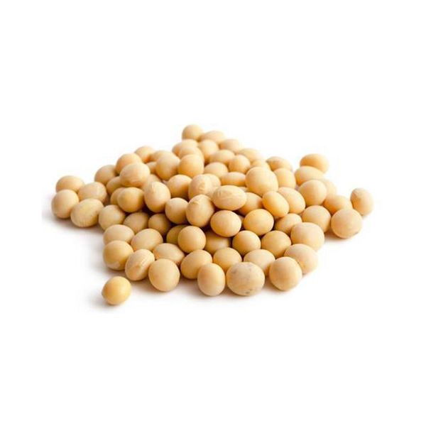Soybean from 러시아 supplied by JSC PZ Meliorator - Dried (=Dehydrated) 대두