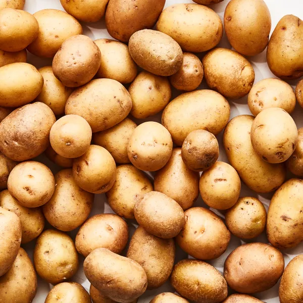 Fresh Potato from Czechia supplied by Zemko Kozli - With Skin Fresh Common Potato