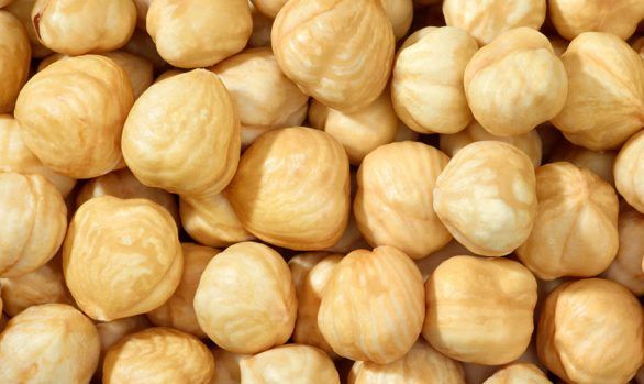 Organic Hazelnut from 독일 supplied by Ortlieb Organic GmbH - Shelled (=Kernel) 헤이즐넛 알맹이