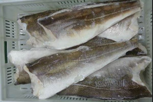 Cod from Iceland supplied by Skinney-Thinganes - Fresh (=Chilled=Raw) Frozen Cod
