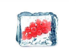 frozen lingonberry from Sweden supplied by OLLE SVENSSON AB - Fresh (=Chilled) Lingonberry