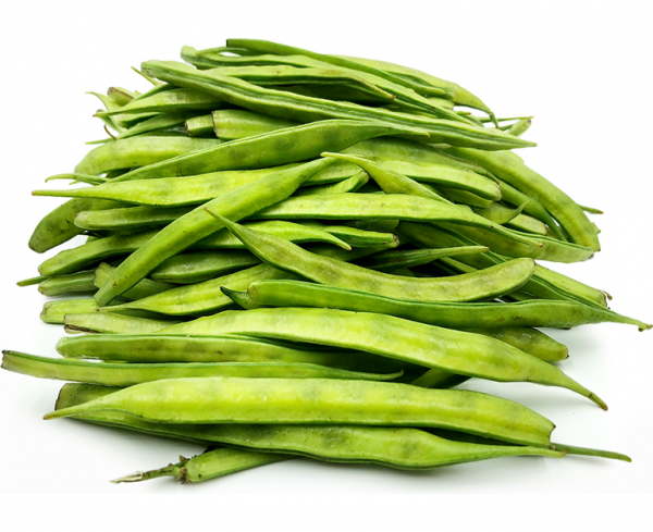 Common bean from 벨기에 supplied by Dendauw - Stragier - 클러스터콩