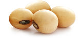 Soybeans from 브라질 supplied by Coperaguas Cooperativa Agroindustrial - GMO 대두