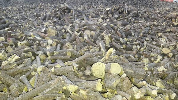 Liquorice Roots from 아프가니스탄 supplied by Nasimnajwa Ltd - FAQ (=Fair Average Quality) 감초
