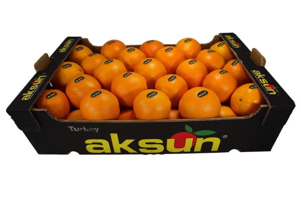 Orange from Turkiye supplied by Aksun Tarim - Industrial Fresh Orange