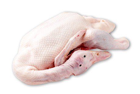 Duck Meat Parts from 말레이시아 supplied by Tan Choi Hin Sdn. Bhd - Vacuum Packed (=VAC) 오리고기
